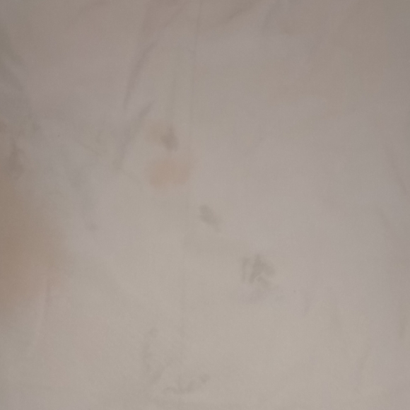 Italiana Collezione Dress Pants - Picture 6 of 9